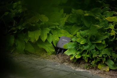 Switch Smart 12V (Wi-Fi)