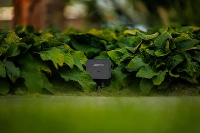 Switch Smart 12V (Wi-Fi)